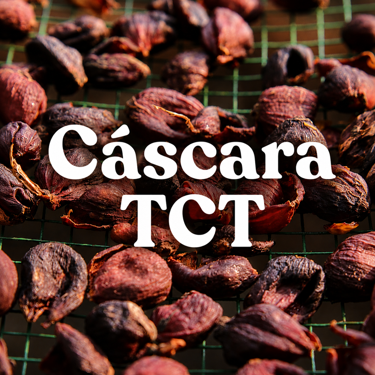 Cáscara - casca do café 50g