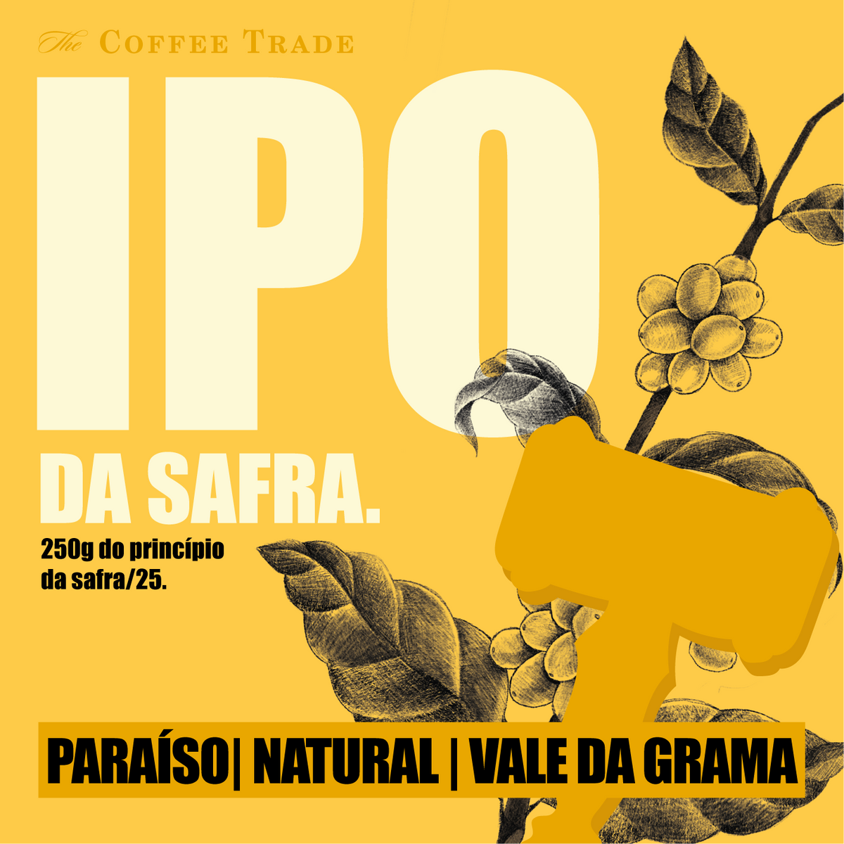IPO da Safra
